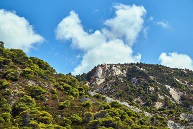 Lefkada Adası Çam ormanı ile kaplı deniz cliff