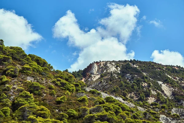 Seaside Cliff Covered Pine Forest Island Lefkada — Stock Photo, Image