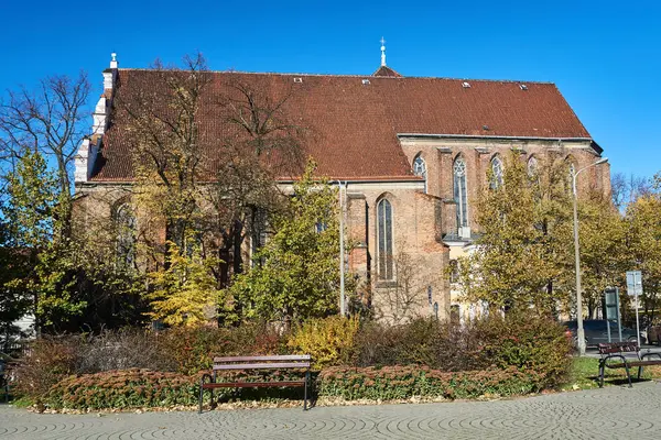 Trees Bushes City Park Next Medieval Church City Poznan — Stock Photo, Image