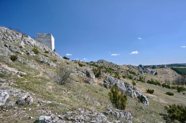 Beyaz kayalar ve harap Ortaçağ Kalesi, Olsztyn, Polonya