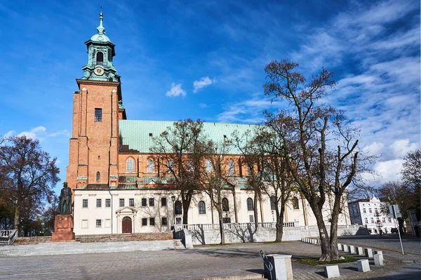 Staty Den Polska Kungens Och Gotiska Katedralens Kyrka Gniezno Polen — Stockfoto