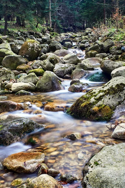 Mountain Stream Spring Giant Mountains Poland — Stock Photo, Image