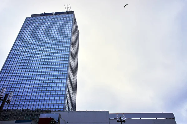 Fasada Drapacza Chmur Ptaka Berlinie — Zdjęcie stockowe