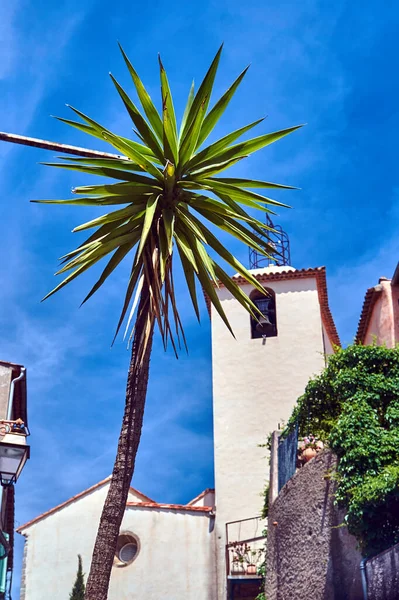 Palm Leaves Belfry Medieval Stone Church France — Stock Photo, Image