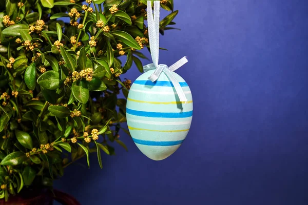 彩绘的复活节彩蛋挂在蓝色背景的黄杨木灌木上 — 图库照片