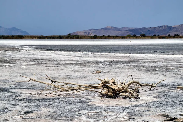 Yunanistan Kos Adasındaki Salt Lake Alykes Dibindeki Tuz — Stok fotoğraf