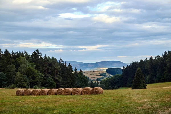ポーランドの山の中の牧草地や森林と農村風景 — ストック写真