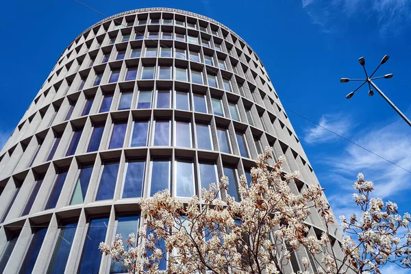 Flores Blancas Que Florecen Árbol Frente Edificio Modernista Forma Cilindro — Foto de Stock