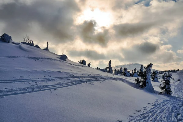 Sendero Turístico Cubierto Nieve Las Montañas Gigantes Polonia — Foto de Stock