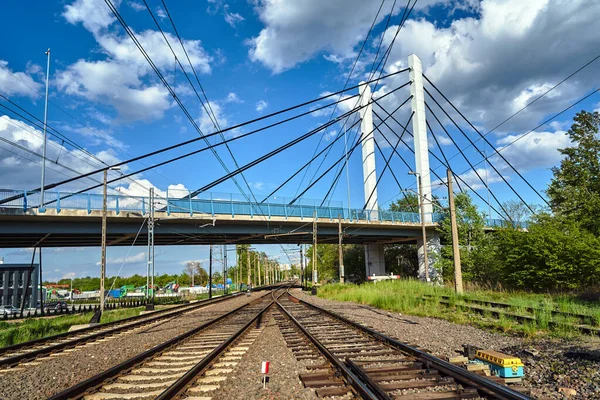 Cable Stayed Road Bridge Railway Tracks Poland — Stock Photo, Image