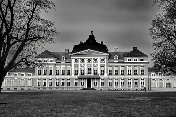 Elevation Baroque Historic Palace Rogalin — Stock Photo, Image