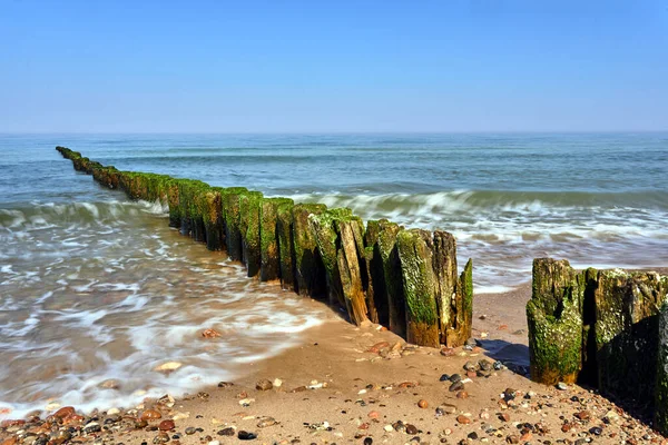 Каменный Пляж Деревянные Волнорезы Побережье Балтийского Моря Польше — стоковое фото