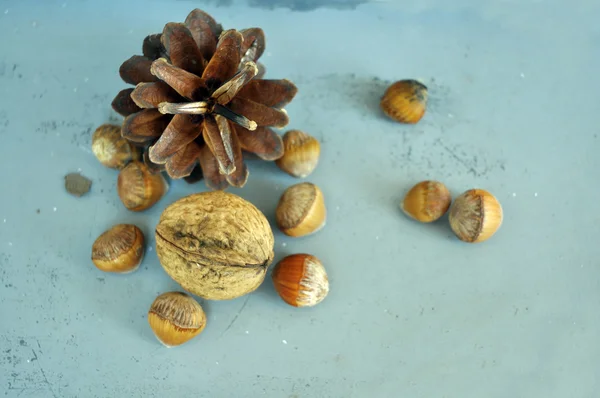 Грецкие орехи, фундук и миндаль в раковинах — стоковое фото