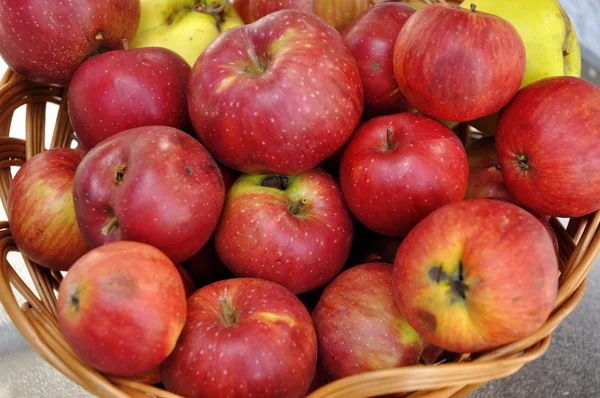 Piękne czerwone jabłka — Zdjęcie stockowe
