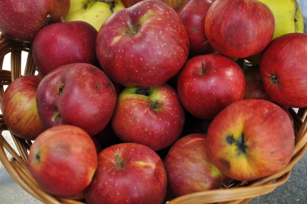 Belas maçãs vermelhas — Fotografia de Stock