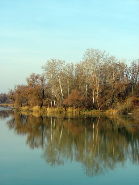 Krajina s lesní jezero v podzimní den — Stock fotografie