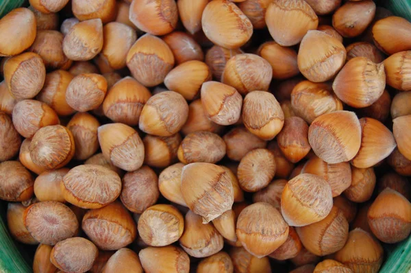 Frön bakgrund med hasselnötter med skal — Stockfoto