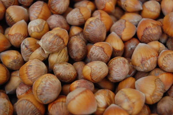 Frön bakgrund med hasselnötter med skal — Stockfoto