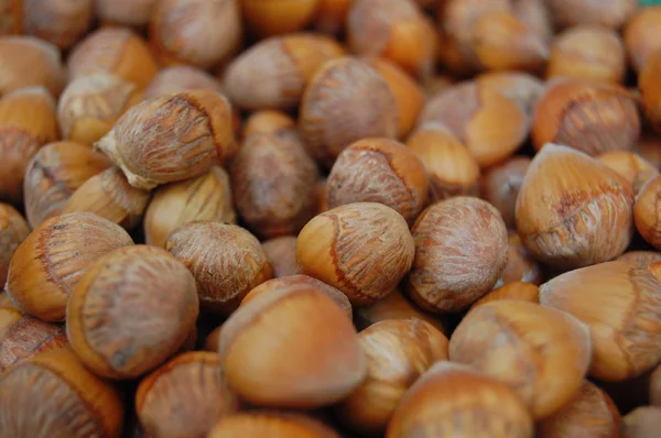 Fundo de sementes com avelãs em conchas — Fotografia de Stock