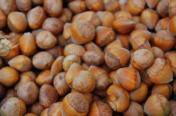 Fundo de sementes com avelãs em conchas — Fotografia de Stock
