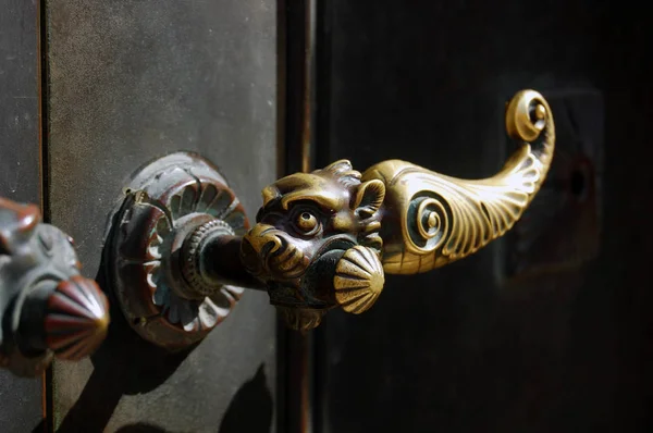 아름 다운 오래 된 문 두 들기는 사람 — 스톡 사진