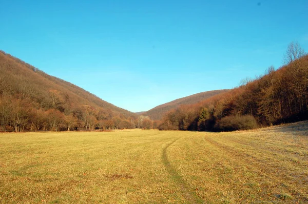 Herbstlandschaft mit Sonnenlicht — Stockfoto