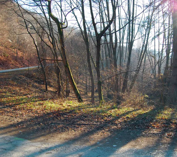 Paysage d'automne avec lumière du soleil — Photo