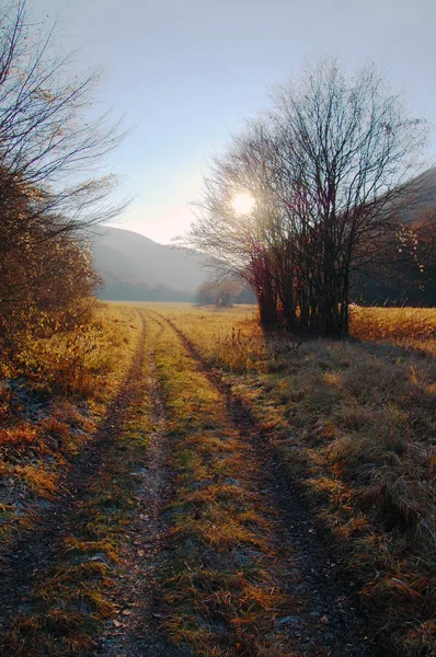 Paysage d'automne avec lumière du soleil — Photo