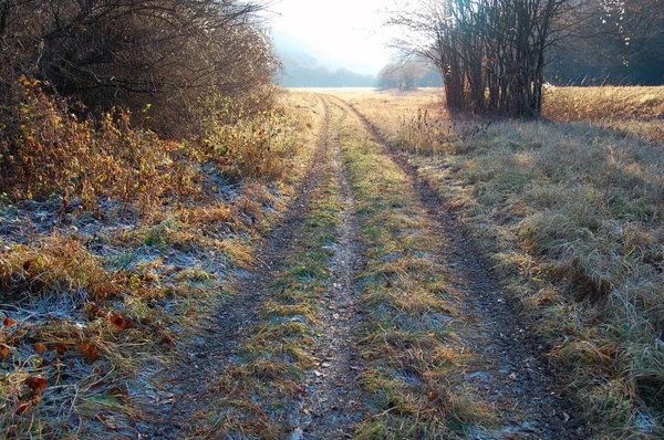 Herbstlandschaft mit Sonnenlicht — Stockfoto