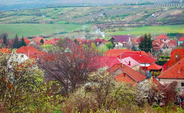 Schöne Aussicht auf das Dorf im Frühling — Stockfoto