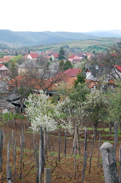 Gyönyörű kilátás nyílik a tavaszi village — Stock Fotó