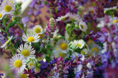 demet bahar çiçekleri