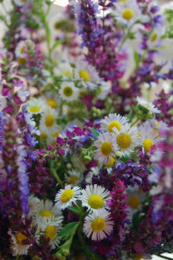 demet bahar çiçekleri