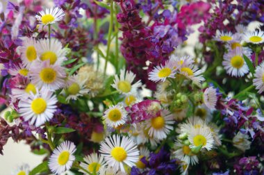 demet bahar çiçekleri