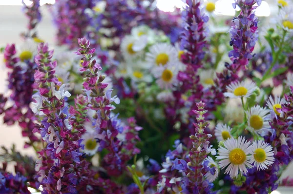 Strauß Frühlingsblumen — Stockfoto