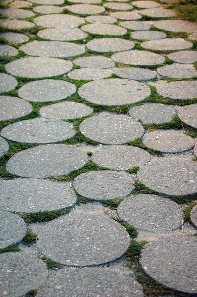 Asfalt çevrelerin patika 