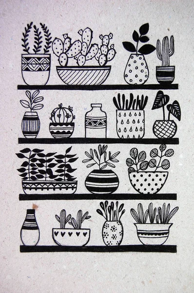 Different Pots Plants Black White — Stock Photo, Image
