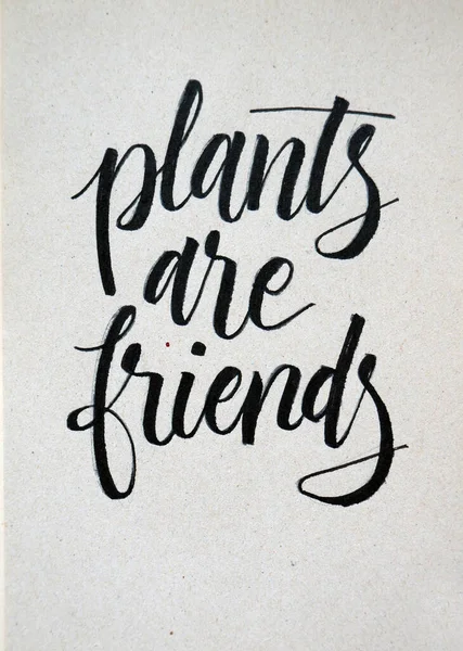 Plants Friends Calligraphic Background — Stock Photo, Image