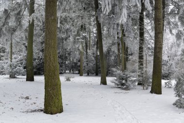 Sessiz Kış Parkı