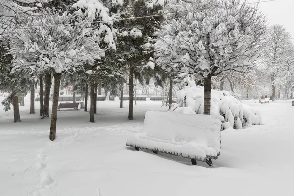 Verschneiter Park in Kyiw — Stockfoto