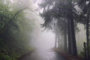 Yağmurdan sonra puslu yol