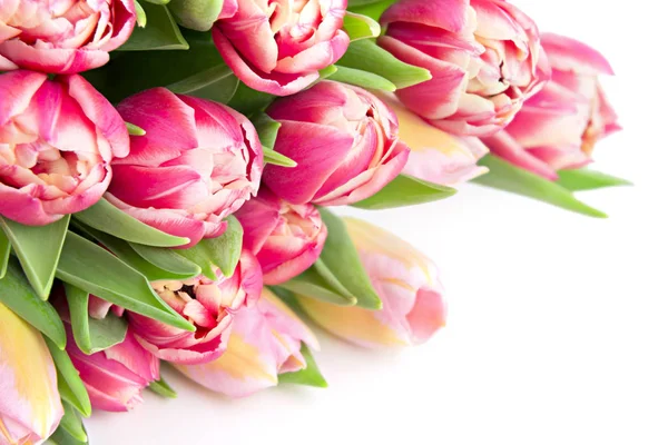 Bloemen tulpen Geschenkenkaart — Stockfoto