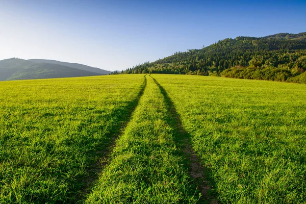 Estrada reta em um campo gramado — Fotografia de Stock