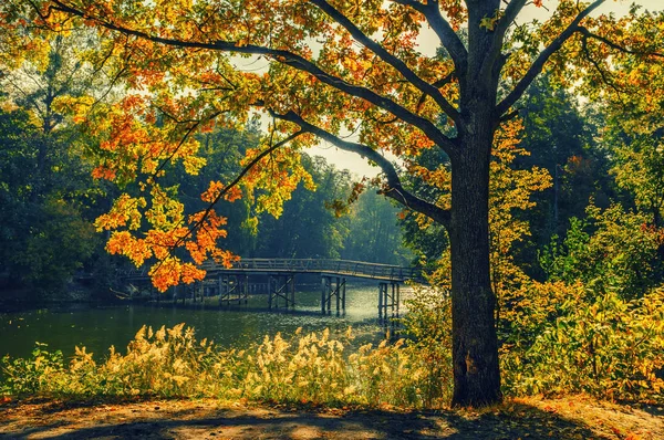 Paisaje de otoño con lago — Foto de Stock