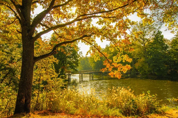Paisaje de otoño con puente — Foto de Stock