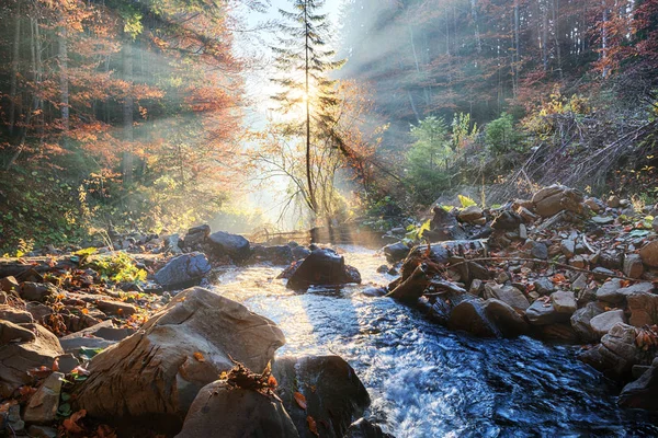 Bergwaldfluss mit Sonnenstrahlen — Stockfoto