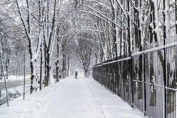 Lege stad straat tijdens zware sneeuwval — Stockfoto