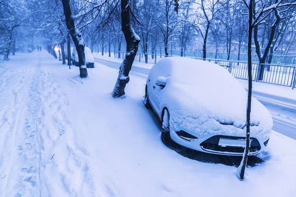 Geparkeerde auto's vallende sneeuw tijdens zware sneeuwval — Stockfoto
