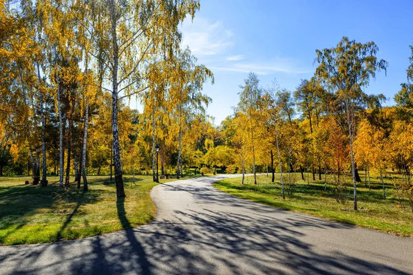 Zonnige herfstdag in het park — Stockfoto