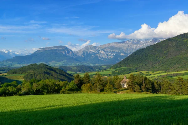 Pajiştea verde şi munţii. Peisaj rural . — Fotografie, imagine de stoc